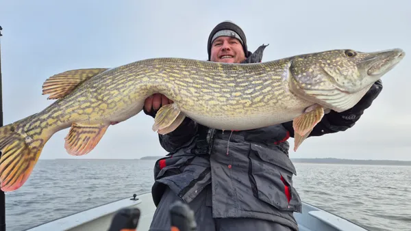 Złowiona ryba