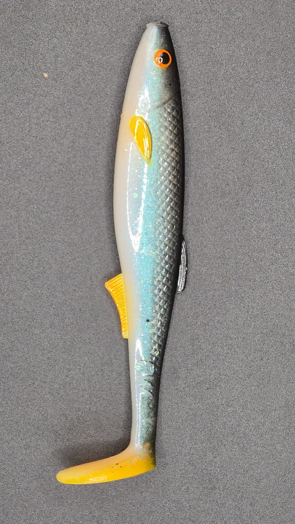 Płotka 12 cm – płoc