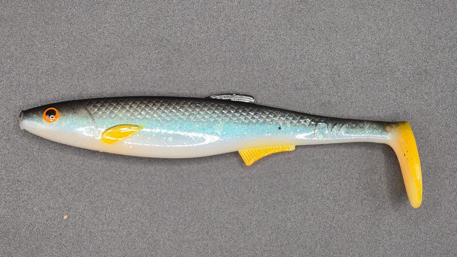 Płotka 12 cm – płoc