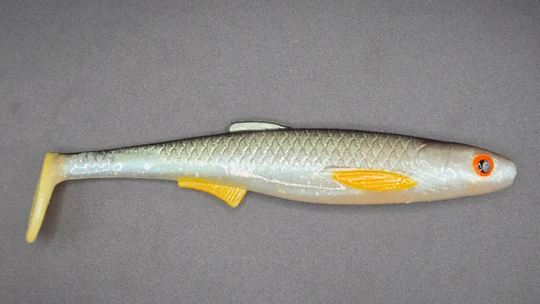 Płotka 18 cm – klen
